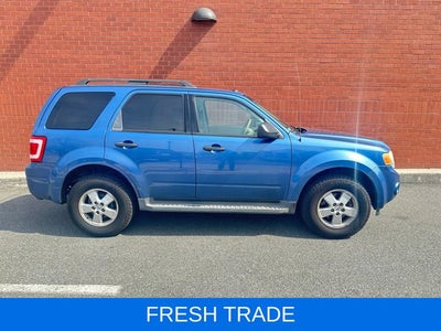 2009 Ford Escape XLT