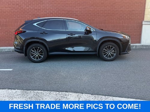 2024 Lexus NX 350h Premium