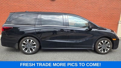 2025 Honda Odyssey Elite