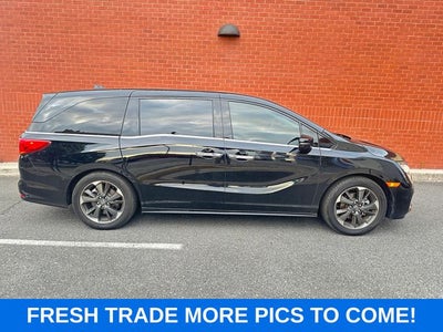 2024 Honda Odyssey Elite