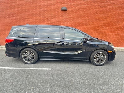 2024 Honda Odyssey Elite