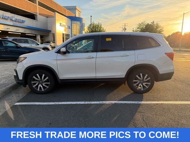 2019 Honda Pilot 4WD EX-L's photo