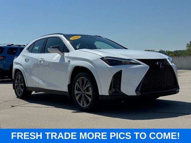 2024 Lexus UX 300h 250h F Sport Handling's photo
